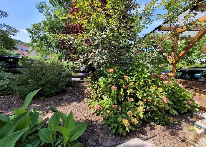 Appartement Riesling *